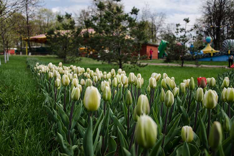 Детские игровые площадки