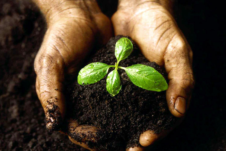 Стоимость чернозёма