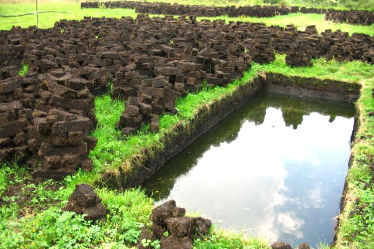 Стоимость торфяной смеси